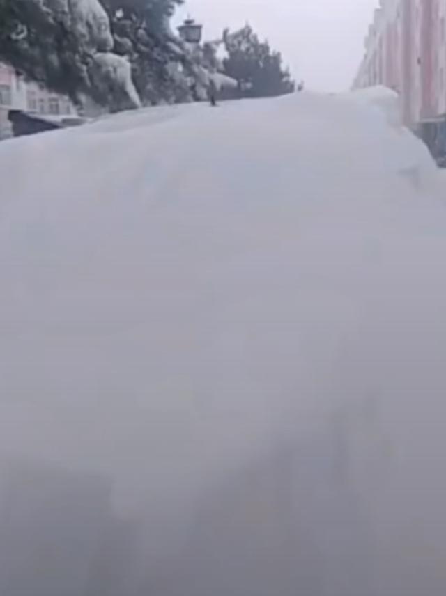 东北下起70年不遇的大雪东北大哥还真是活久见了